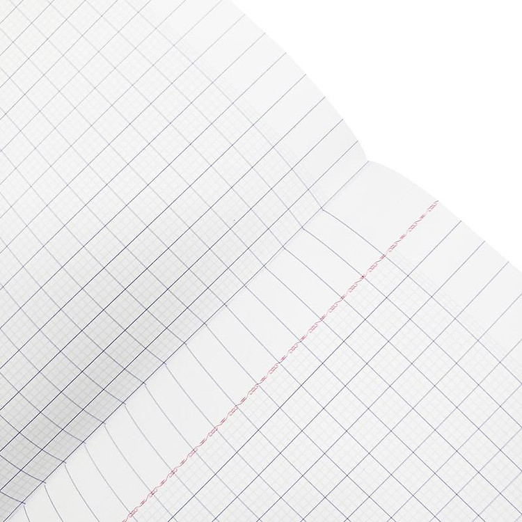 Bộ Tập Học Sinh Wolfoo (4 ô ly, 96 trang, 70gsm) - Ảnh 6