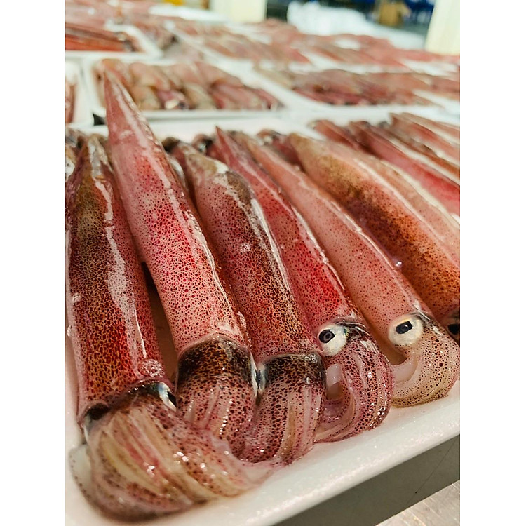 Mực ghim trứng A 9-12cm (1kg)