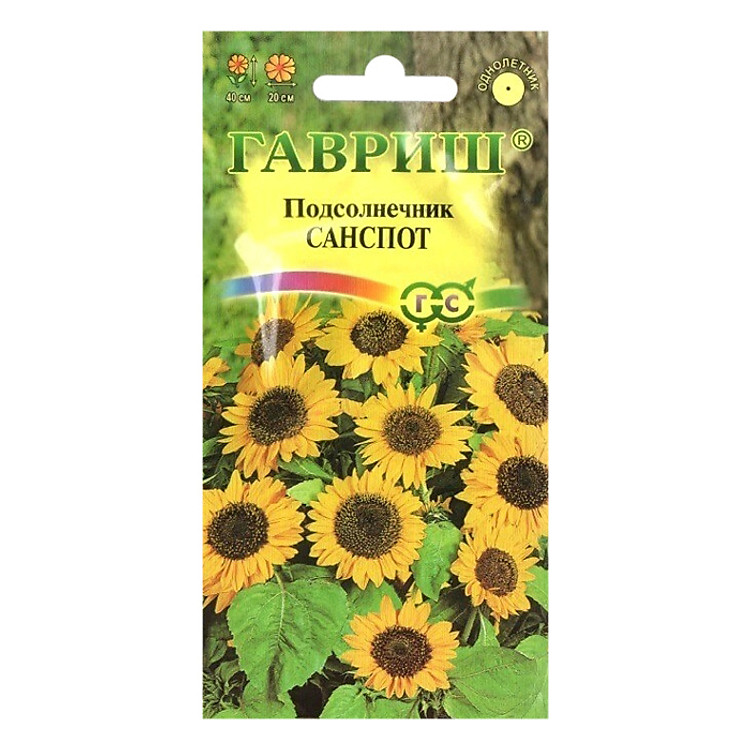 Hạt Giống Hướng Dương Lùn Gavrish (0,5g)