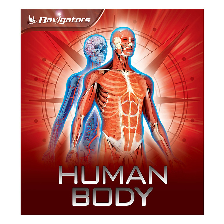 Sách Navigators: Human Body