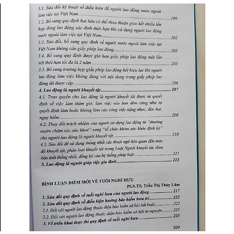 Bình luận những điểm mới của Bộ luật lao động năm 2019 - Ảnh 2