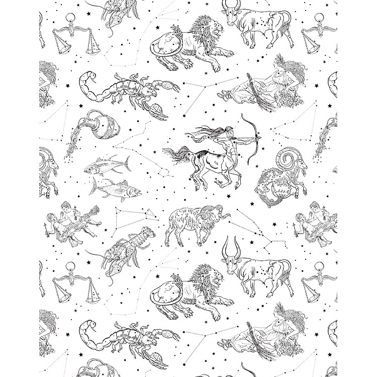 Tô Màu Chiêm Tinh - Tô Màu Theo Cách Của Bạn Để Khai Mở Trực Giác Diệu Kỳ - Ảnh 2