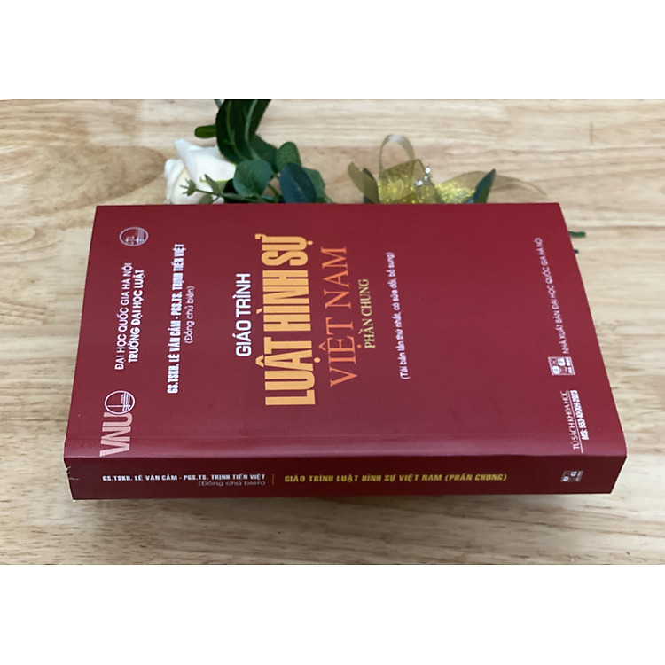 Giáo trình luật hình sự Việt Nam - Ảnh 3