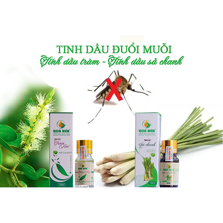 Tinh dầu tràm Huế Hoa Nén 100ml Chính hãng Giá tốt - Hình ảnh 5
