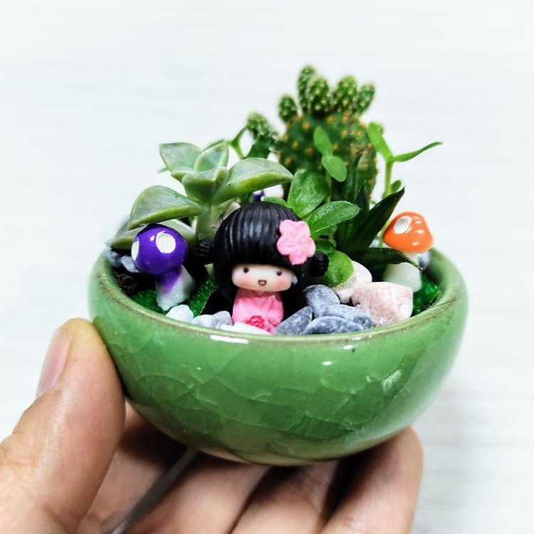 Chậu cây sen đá, xương rồng mini để bàn đáng yêu