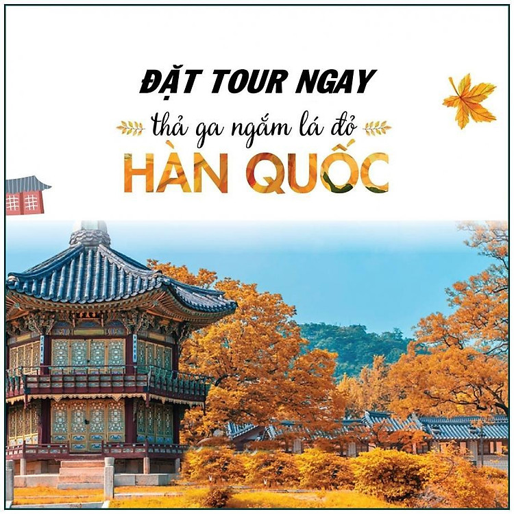 Tour Hàn Quốc 4N4Đ Từ HN: Seoul - Nami - Everland - Cầu Thủy Tinh, KH Đến Tháng 12
