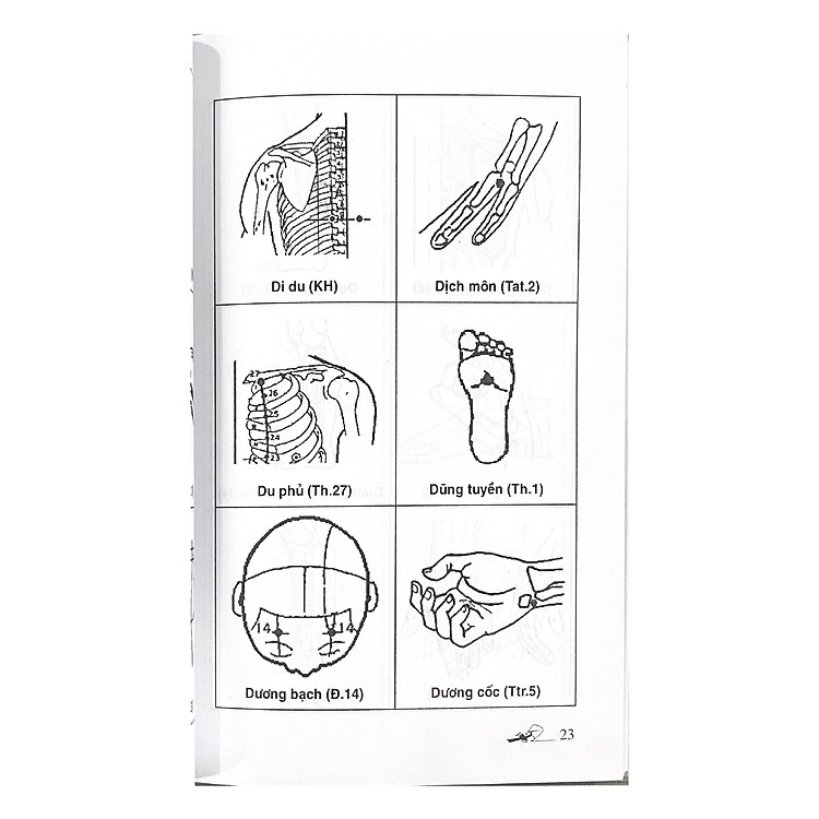 Sổ Tay Tìm Huyệt 2019 - Ảnh 6
