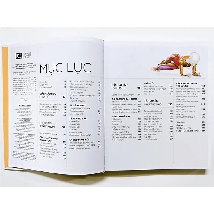 Khoa Học Về Chạy Bộ - Phân Tích Kỹ Thuật, Phòng Ngừa Chấn Thương, Đổi Mới Cách Tập Luyện - Ảnh 2