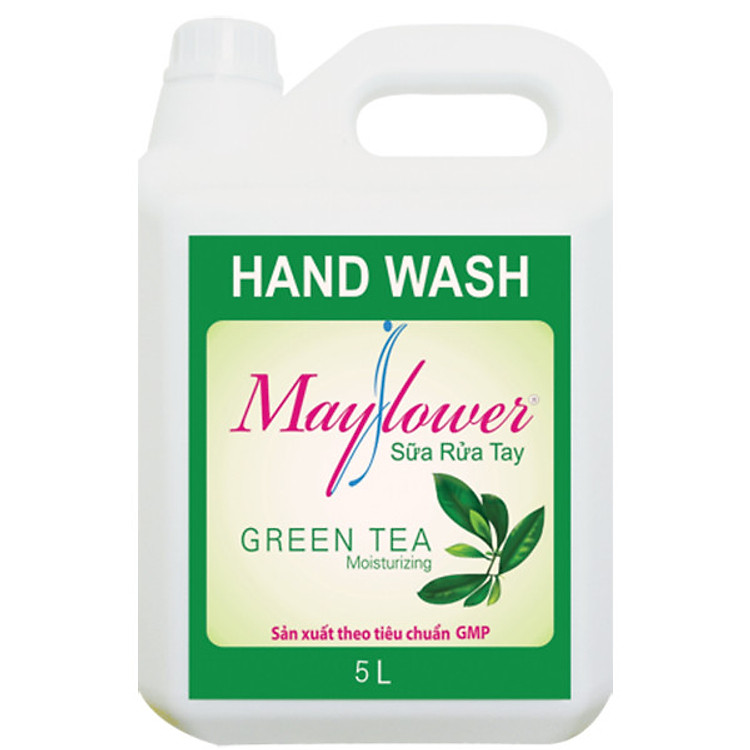 Sữa rửa tay Mayflower Green tea 5000ml