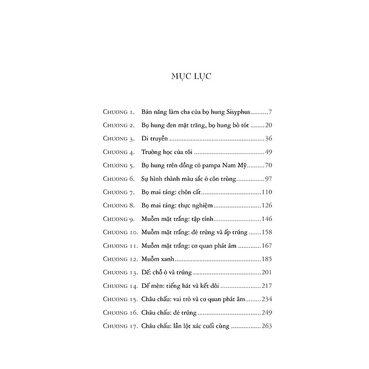 Côn trùng ký tập 6 - Ấn bản đầy đủ - Ảnh 2