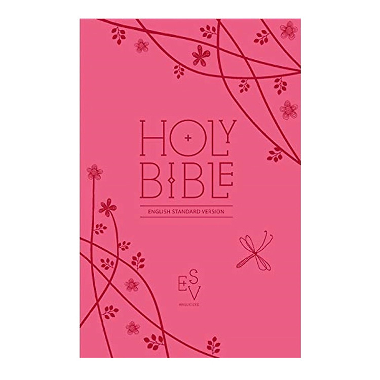 Collins Anglicised Esv Bibles - Holy Bible