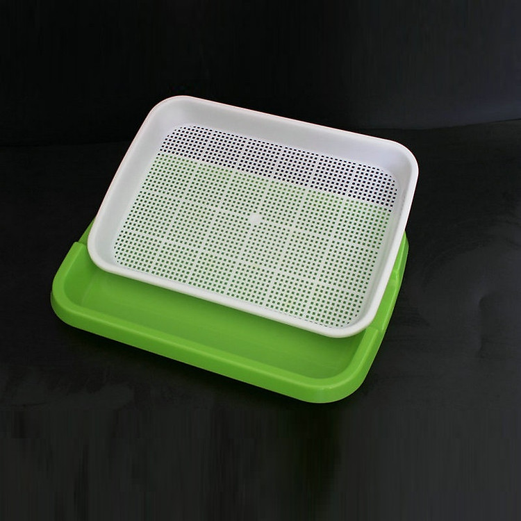 Bộ 5 Khay trồng rau mầm thủy canh chuyên dụng MAM-100