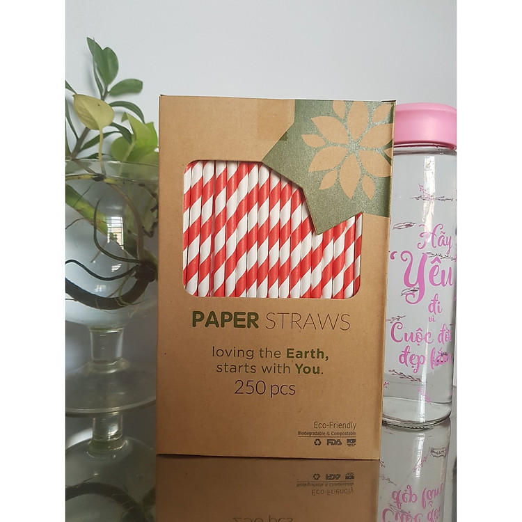 HỘP ỐNG HÚT GIẤY MÀU BIOGREEN THÂN THIỆN MÔI TRƯỜNG