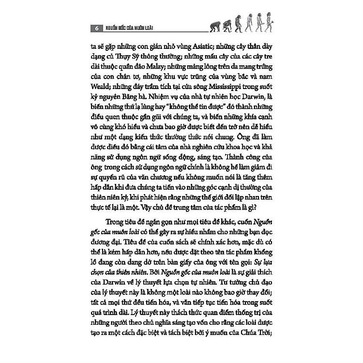 Nguồn Gốc Của Muôn Loài - Ảnh 6