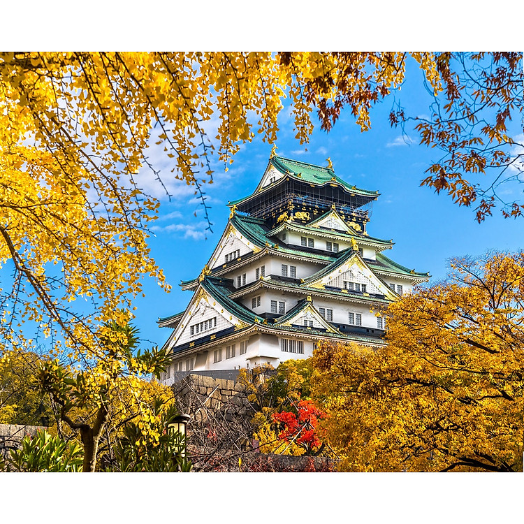 Bộ tranh xếp hình 500 mảnh Cự Giải Chính hãng Giá rẻ - Hình ảnh 4