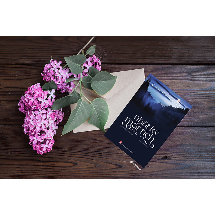 Nhật ký mất tích của tôi - Tiểu thuyết trinh thám - Ảnh 3