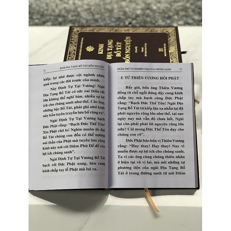 KINH ĐỊA TẠNG BỒ TÁT BỔN NGUYỆN - Ảnh 5