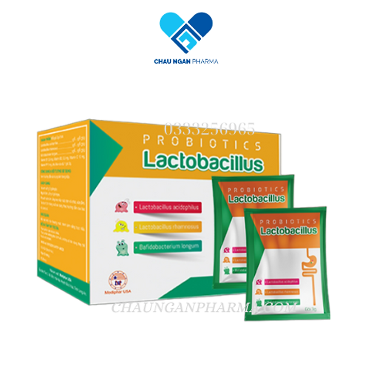Men tiêu hóa Lactobacillus Mediphar Hộp 30 gói x 3g - Hỗ trợ làm giảm rối loạn tiêu hóa do loạn khuẩn đường ruột