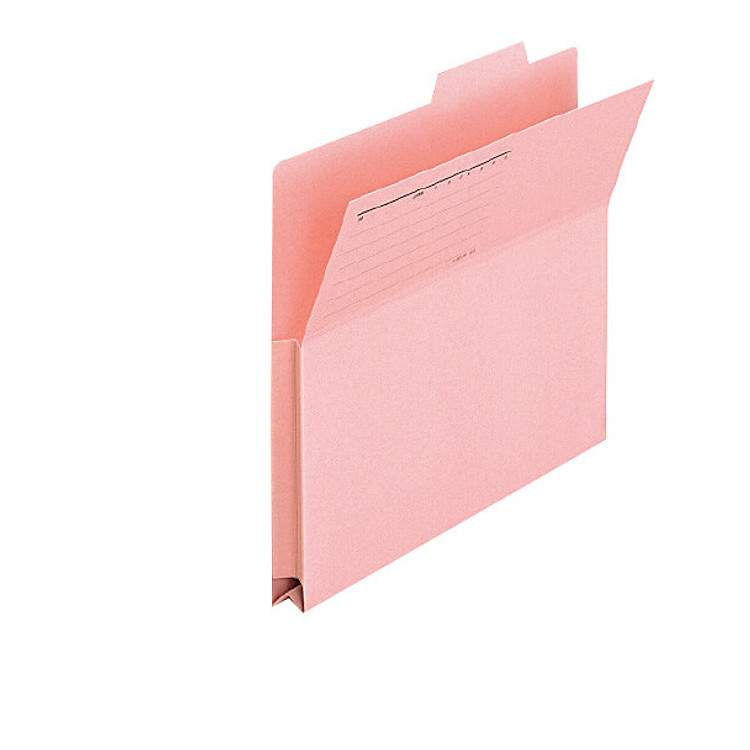 Bìa Giấy Phân Loại Hồ Sơ Plus (10 chiếc) - Ảnh 2