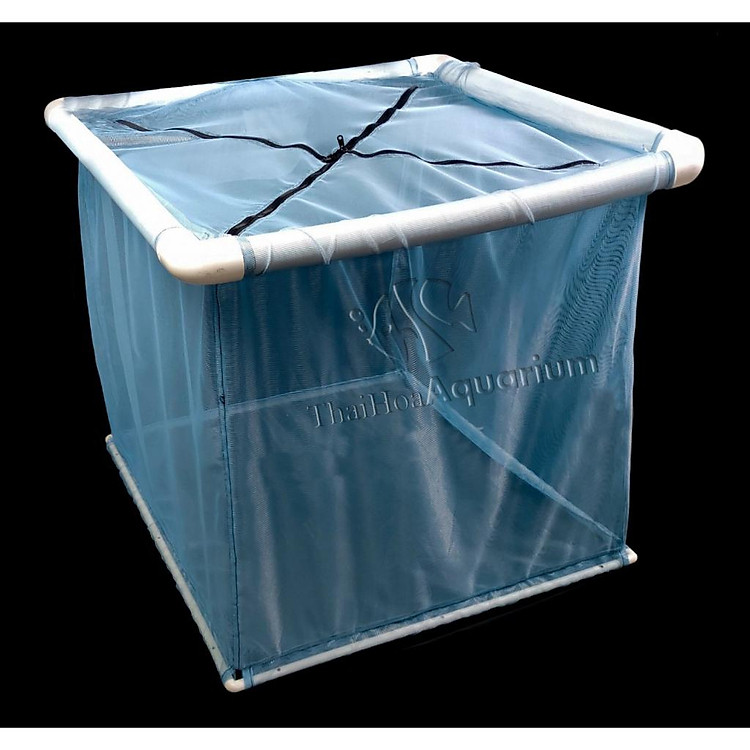 Lồng Cách Ly Cá Koi 80cmx80cmx80cm và 1mx1mx1m