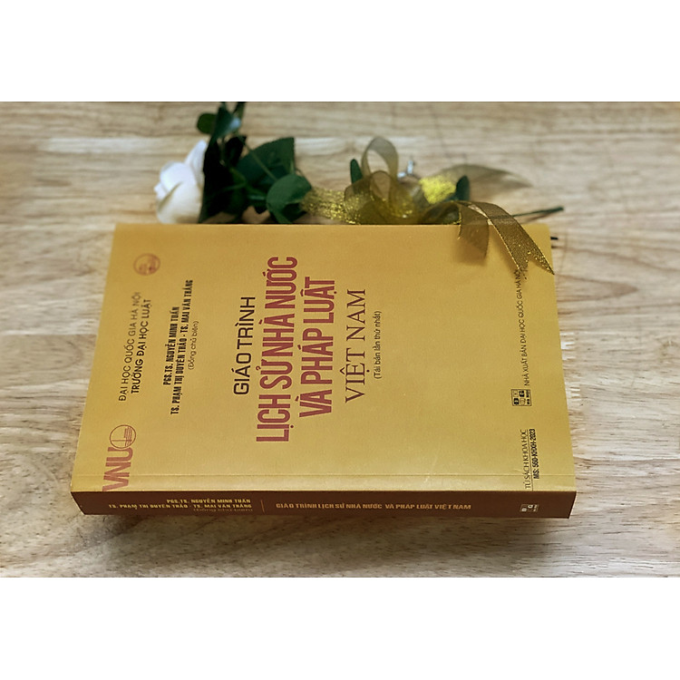 Giáo trình lịch sử nhà nước và pháp luật Việt Nam - Ảnh 3