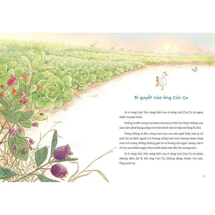 Từ Những Ruộng Rau Ở Nông Trại Cúc Cu - Ảnh 6