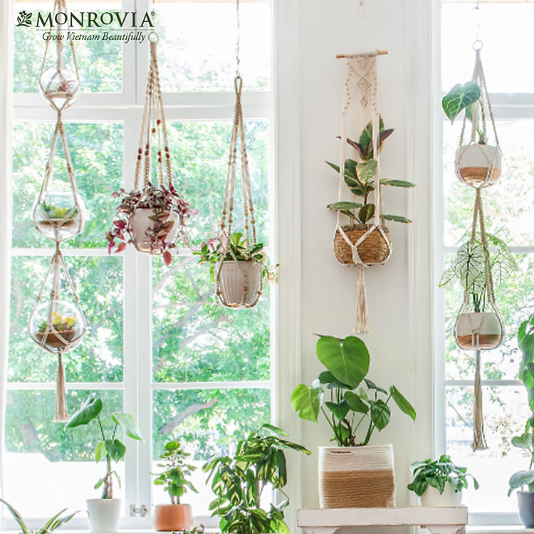 Bộ Dây Treo Chậu Cây Macrame (4 chiếc) - Ảnh 3