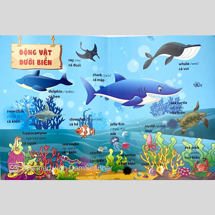 Từ Điển Phát Triển Ngôn Ngữ Bằng Hình Dành Cho Trẻ Mầm Non - Ảnh 5