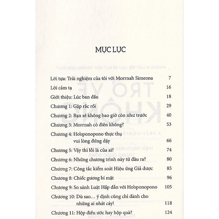 Trở Về Không - Trải Nghiệm Ho'oponopono - Ảnh 2