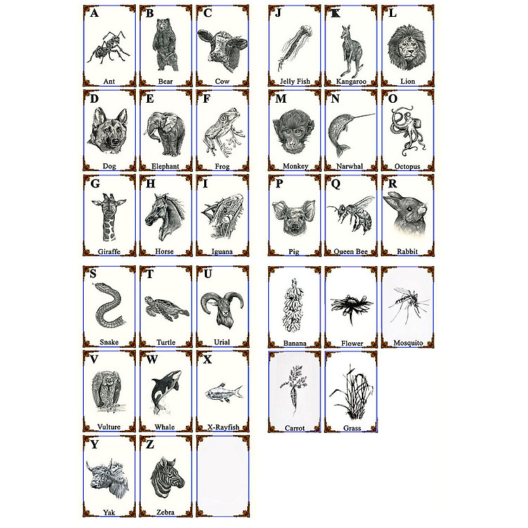 Bộ Thẻ Hình Ảnh Animal 4D Hình Con Vật (31 Mẫu Mới) Tặng Kèm Máy Chơi Game Dưới Nước - Tăng khả năng sáng tạo, khéo léo của bé