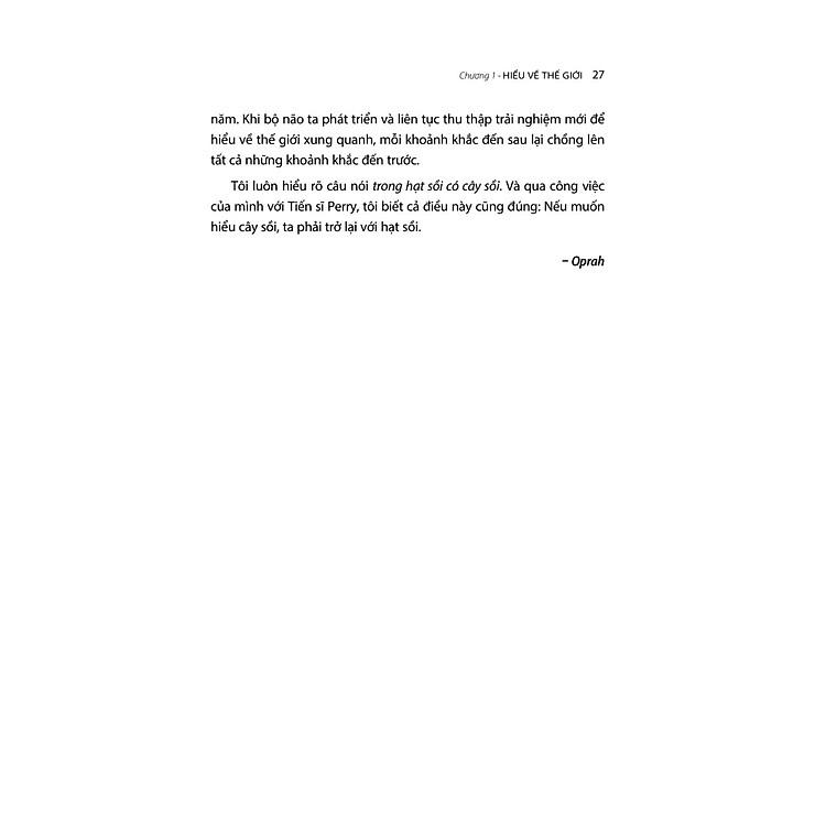 Chữa Lành Những Sang Chấn Tuổi Thơ - Ảnh 6