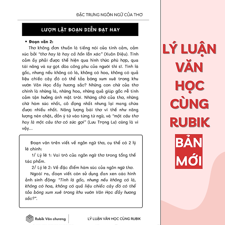Lý Luận Văn Học Cùng Rubik (Tập 1) - Ảnh 2