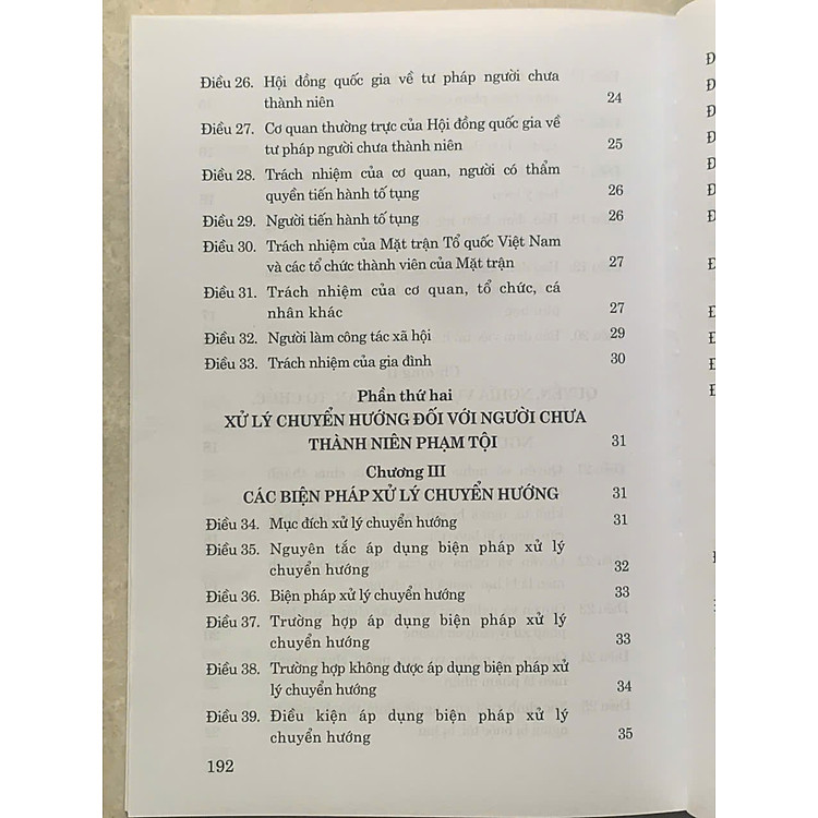 Luật Tư pháp Người Chưa Thành Niên Năm 2024 - Ảnh 6
