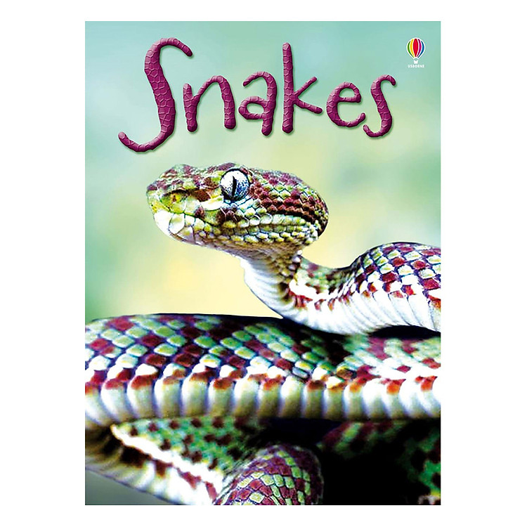 Sách Usborne Snakes