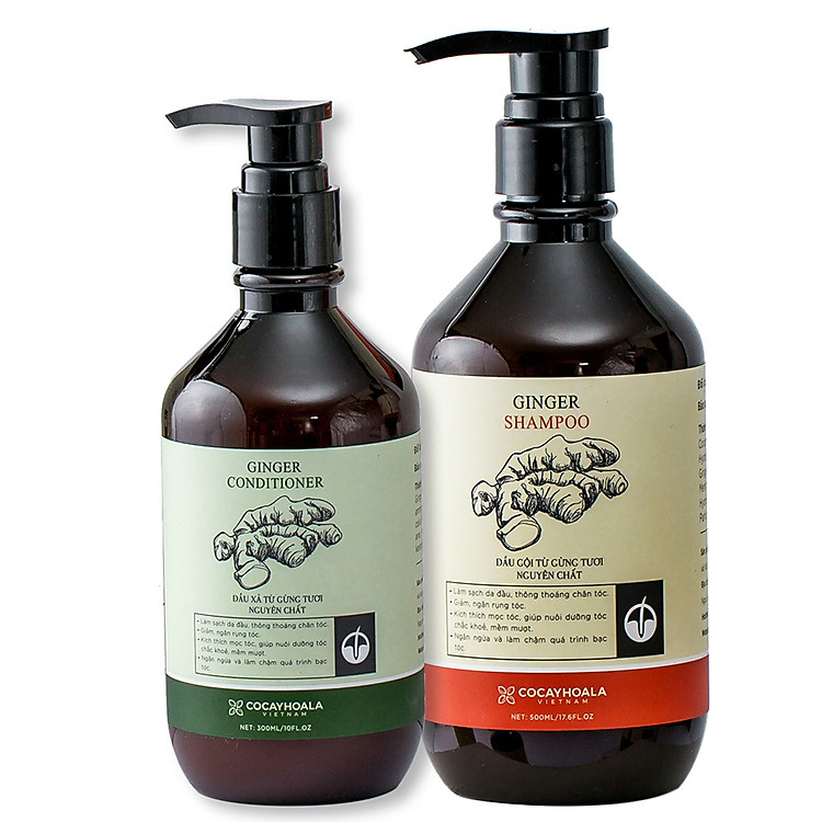 Combo Dầu Gội Gừng- COCAYHOALA