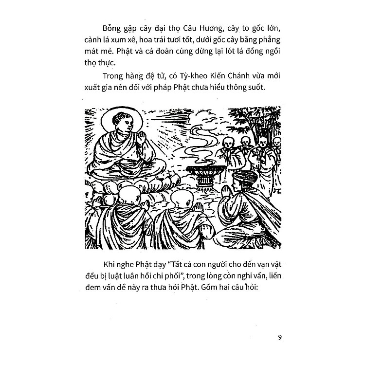 Đạo Lý Luân Hồi - Ảnh 5