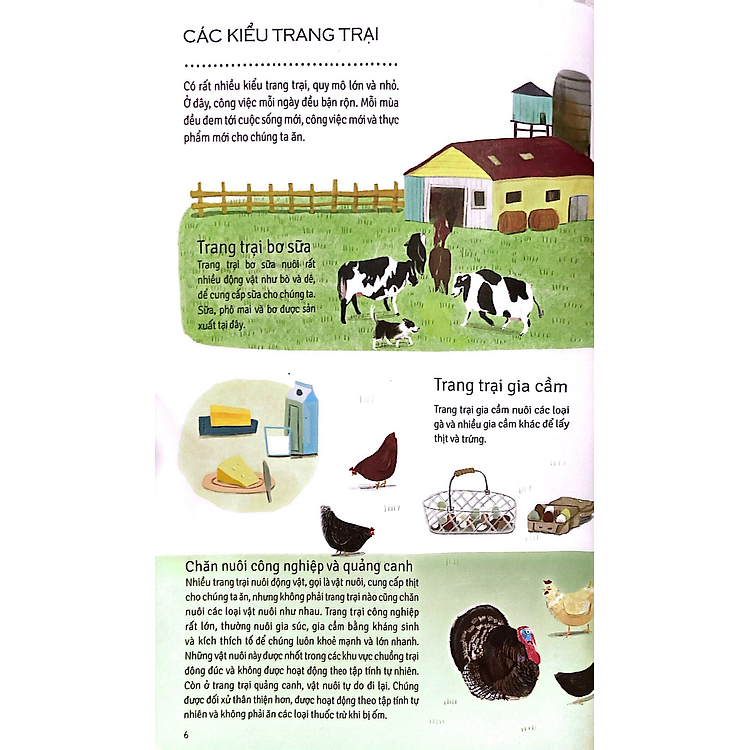 Nông Trại Nuôi Sống Chúng Ta - Ảnh 5