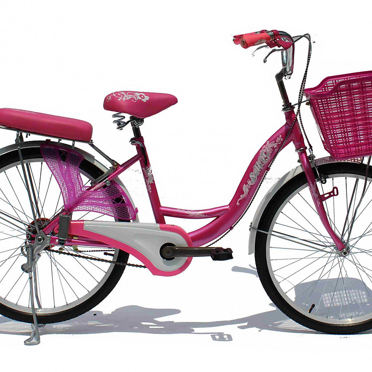 Xe Đạp Thời Trang SMNBike WR 24-01 - 24 inch ( 11+ tuổi )