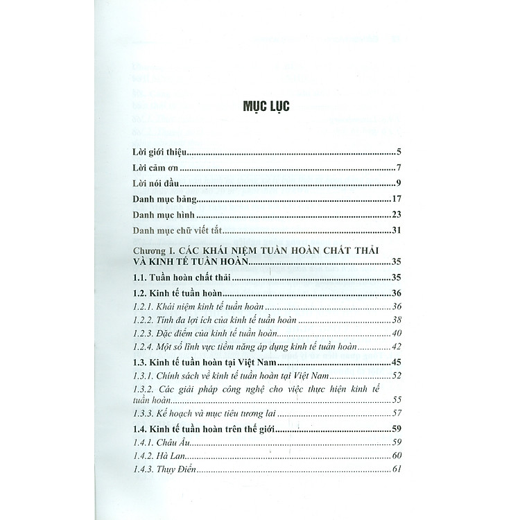 Công Nghệ Xử Lý Và Tuần Hoàn Bùn Thải (Bộ Sách Chuyên Khảo Tài Nguyên Thiên Nhiên Và Môi Trường Việt Nam) - Ảnh 4
