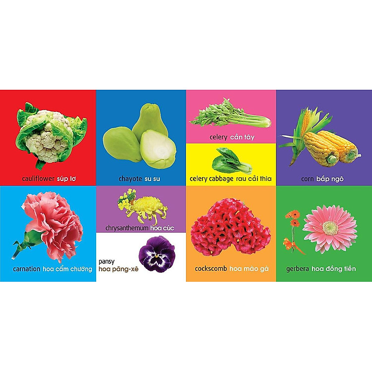 101 Từ Đầu Tiên: Thực Vật (Tái Bản 2021) - Ảnh 4