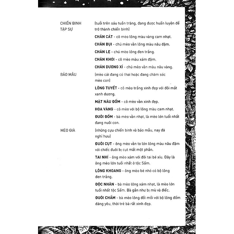 Mèo Chiến Binh - Lửa Và Băng (Tái Bản 2019) - Ảnh 3