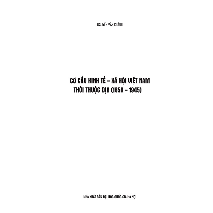 Cơ cấu Kinh Tế Xã Hội Việt Nam Thời Thuộc Địa (1858-1945) - Ảnh 3