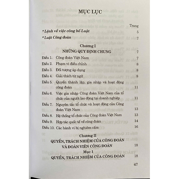 Luật Công Đoàn năm 2024 - Ảnh 3
