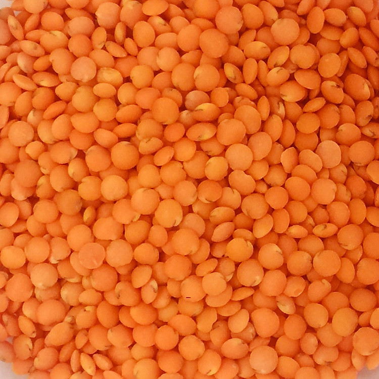 Đậu lăng đỏ tách vỏ nhập khẩu từ Canada (Red Lentils)