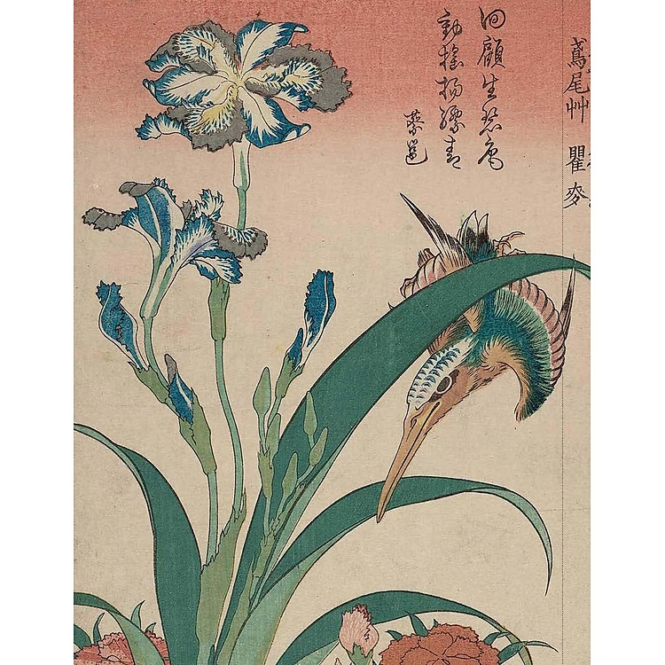 Sourdough - A Complete Guide And Recipe Book - Ảnh 2