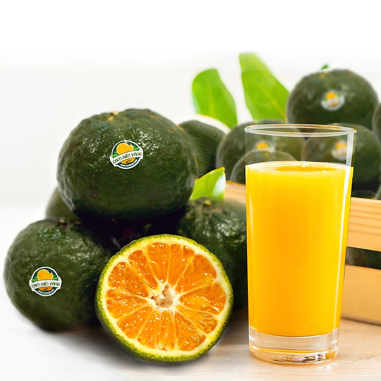 Cam Sành Vĩnh Long - Cam Vắt Nước (7-8 quả/kg) - Foodmap Fruits - Túi 1kg