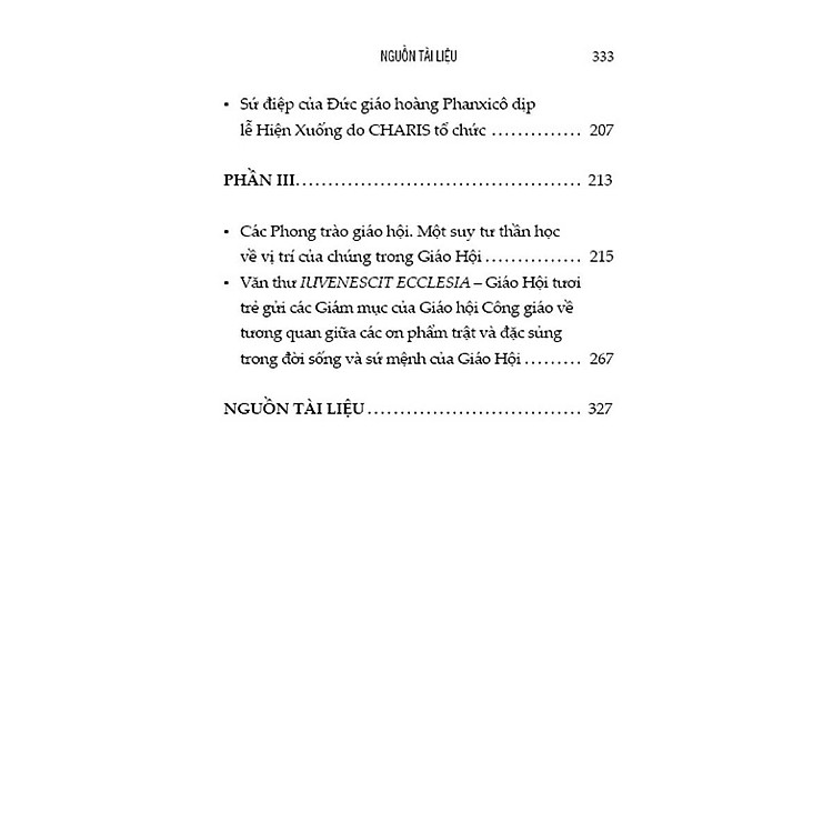 Canh Tân Đặc Sủng - Dòng Chảy Ân Sủng Cho Giáo Hội - Ảnh 4