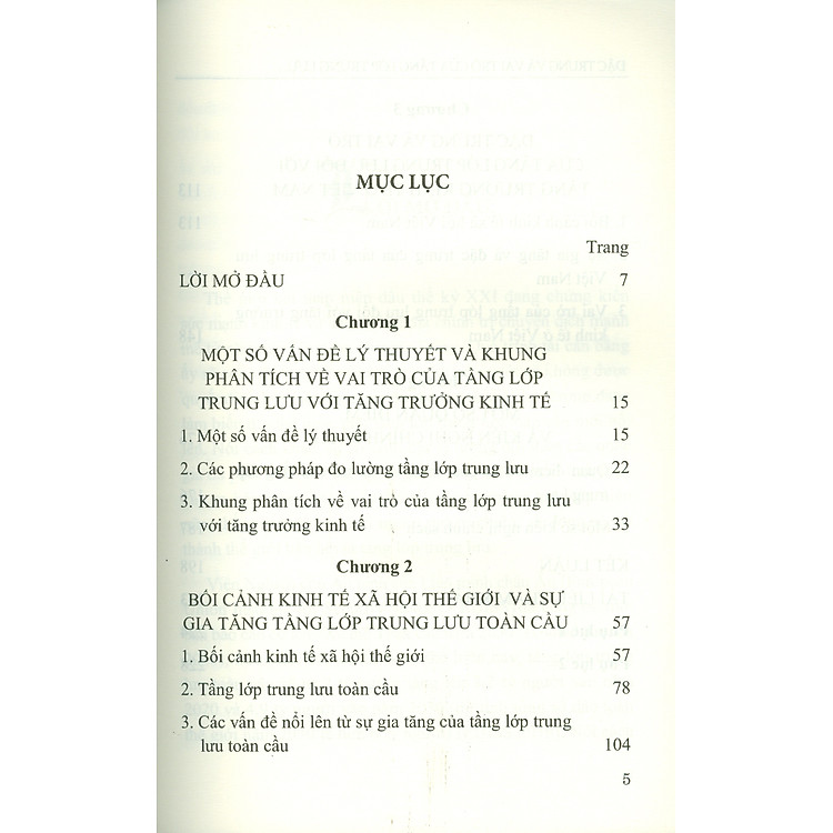 Đặc Trưng Và Vai Trò Của Tầng Lớp Trung Lưu Ở Việt Nam - Ảnh 3