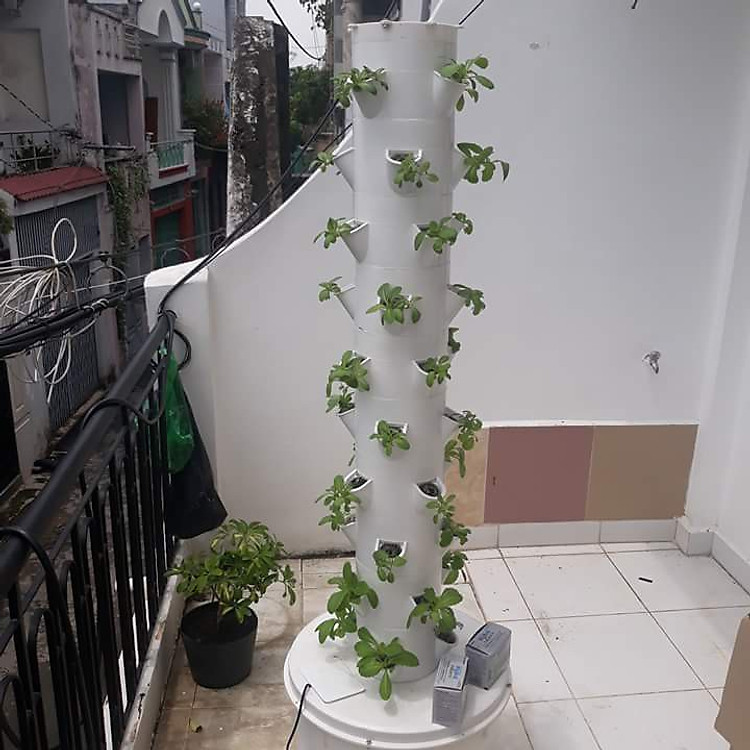 Trụ trồng rau khí canh