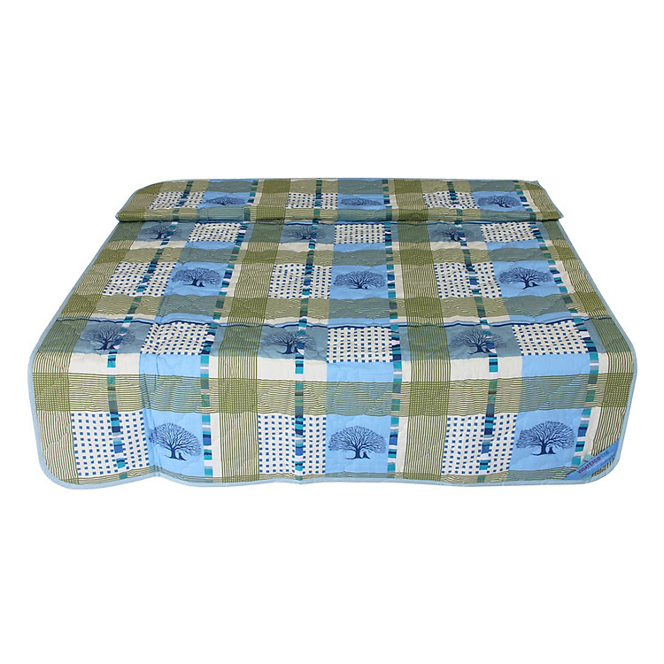 Chăn Chần Thắng Lợi TC 2224 (160 x 220 cm)